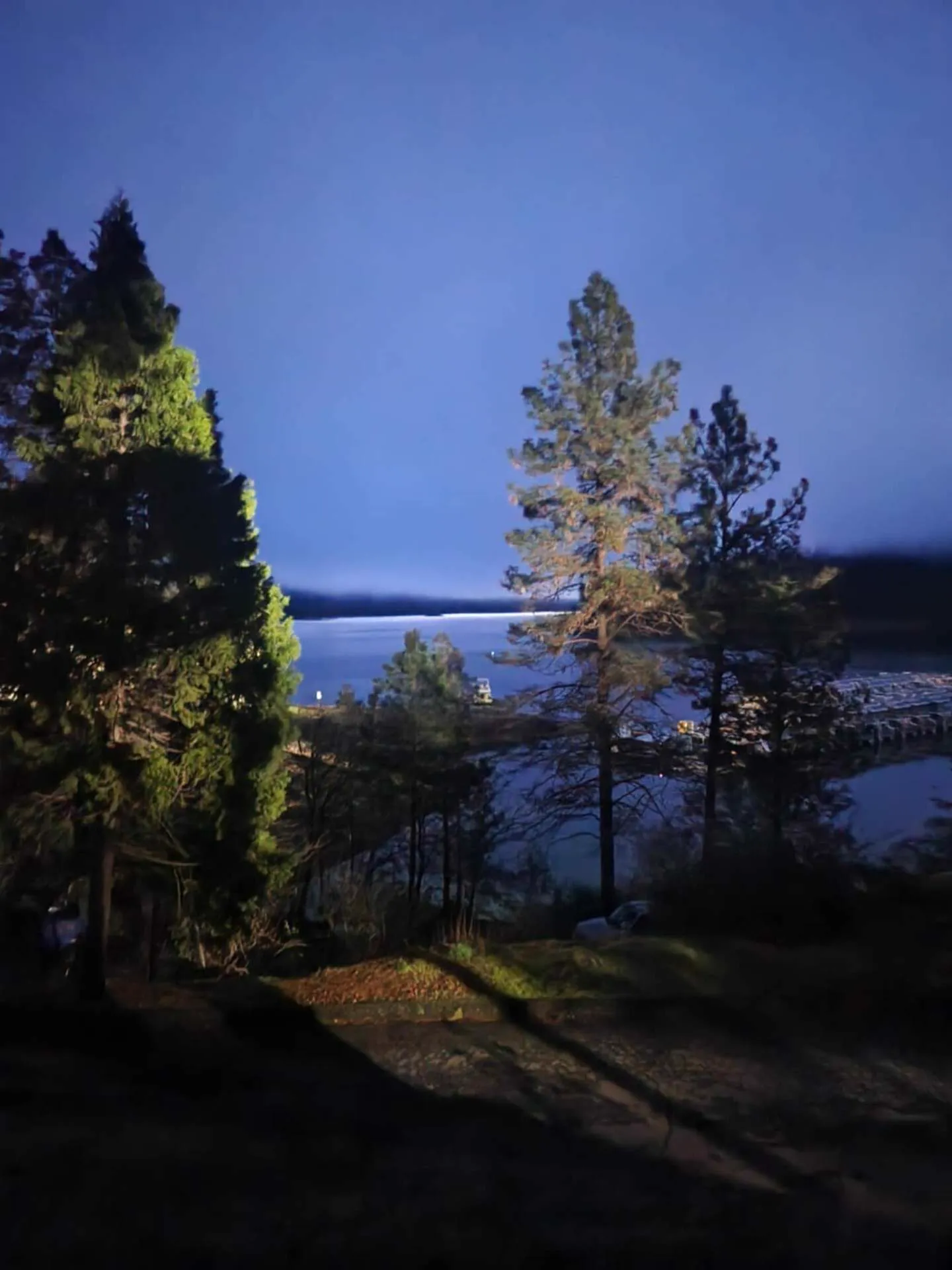 Dusk view from the Silverthorn Resort cabins — tall pines framing Shasta Lake at twilight with the marina and houseboats below