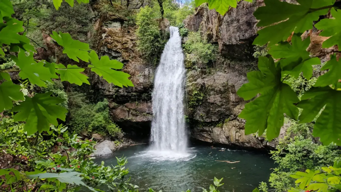 Potem Falls cascading into a clear emerald pool framed by green maple leaves