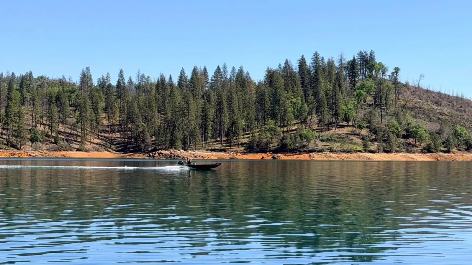 Small fishing boat cruising past forested shoreline on Shasta Lake
