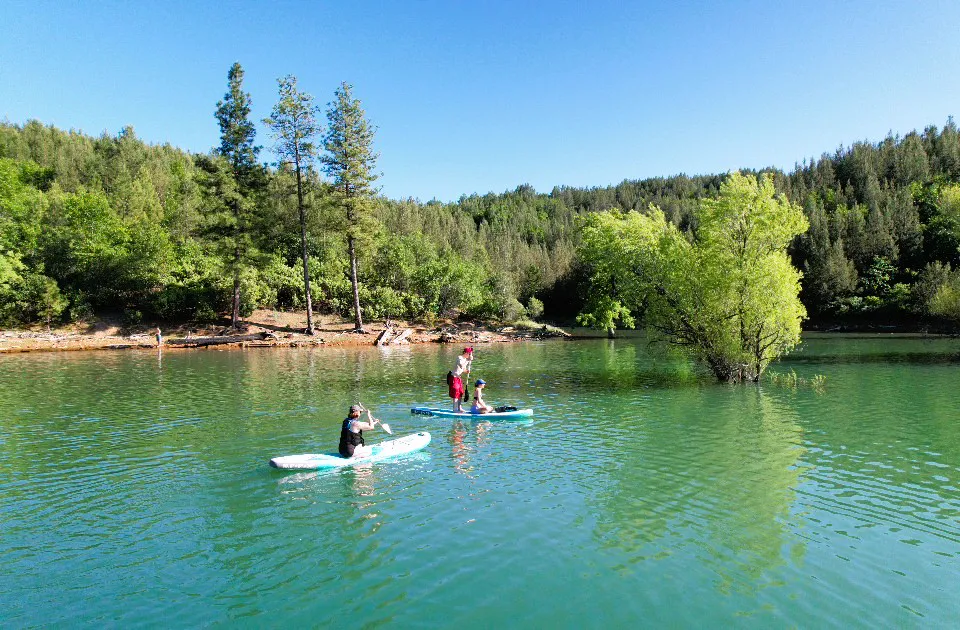 Family stand up paddle boarding in a calm cove on Shasta Lake near Silverthorn Resort